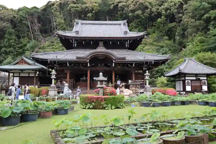 三室戸寺(京都府)