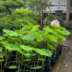 長昌寺(東京都)