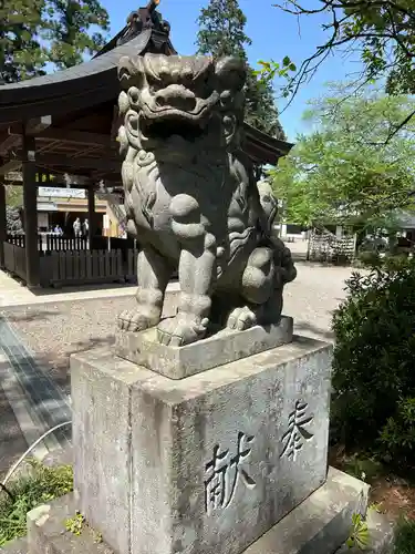 高麗神社の狛犬