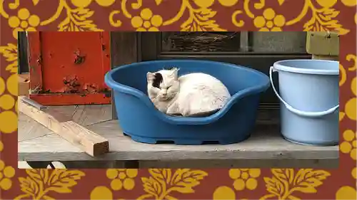 今市報徳二宮神社(栃木県)