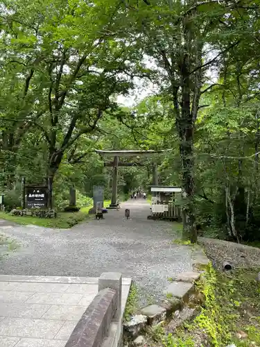 戸隠神社九頭龍社の鳥居