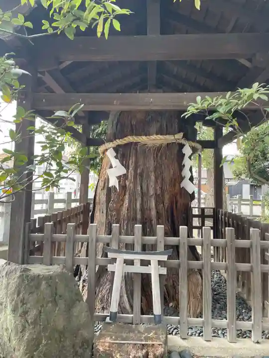 (上桂)御霊神社(京都府)