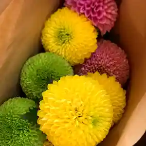 滑川神社 - 仕事と子どもの守り神(福島県)(2020年12月23日(水) 17時47分56秒投稿)