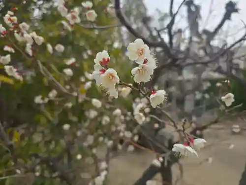 大阿弥陀経寺(大阪府)