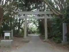 渡海神社の鳥居