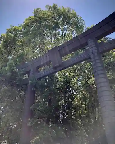 高千穂神社の鳥居