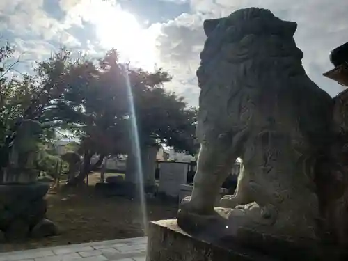 中野神社の狛犬