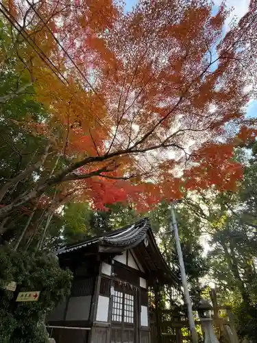 石清水八幡宮(京都府)