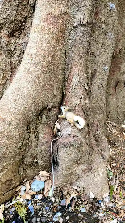 北澤八幡神社の庭園