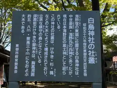 白鳥神社(長野県)