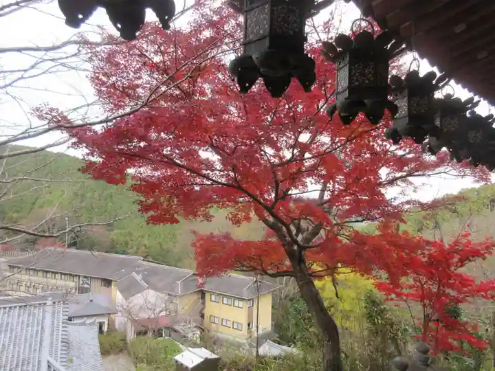 南法華寺(壷阪寺)(奈良県)