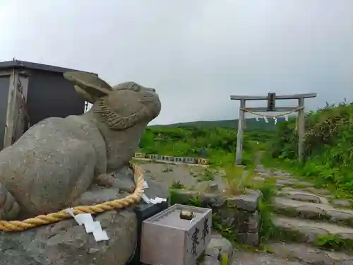 月山神社本宮の狛犬