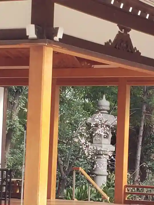 阿佐ヶ谷神明宮(東京都)