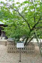 上地八幡宮(愛知県)