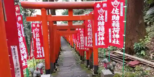 佐助稲荷神社の鳥居