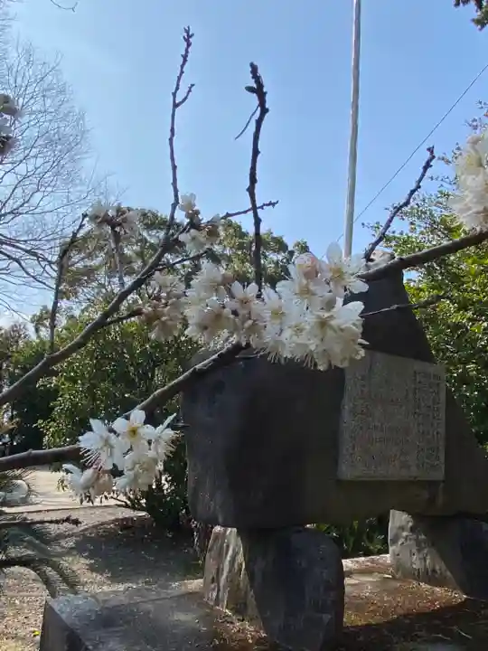 河内阿蘇神社の自然