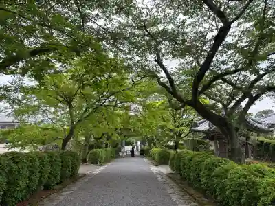 西教寺(滋賀県)