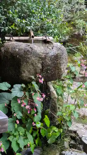 実光院(京都府)