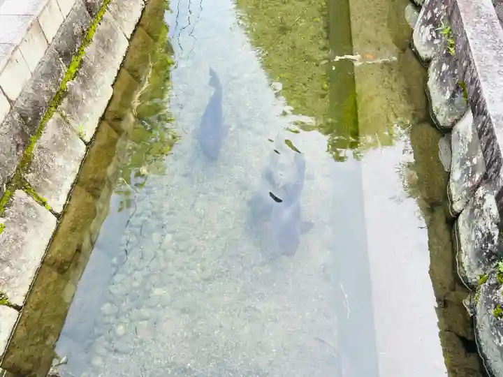 西勝寺(三重県)