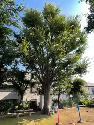 嶺稲荷神社の自然