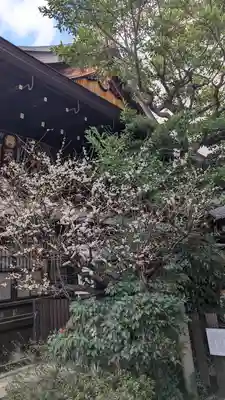 京都大神宮(京都府)