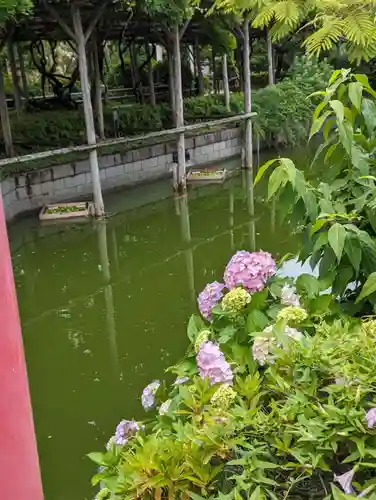 亀戸天神社(東京都)