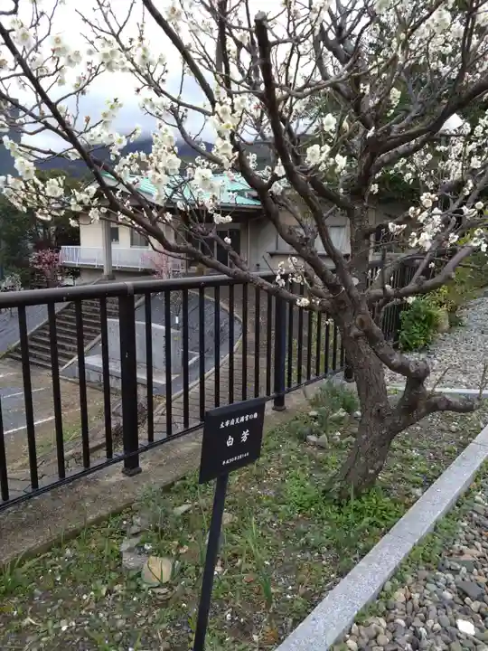 岡田神社(福岡県)