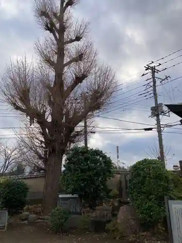 光明寺(神奈川県)