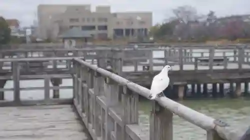 長岡天満宮(京都府)