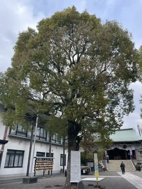亀戸 香取神社の{uncategorized: "未分類", other: "その他", undefined: "問題あり", building: "その他建物", grave: "お墓", sacred_gate: "鳥居", guardian: "狛犬", statue: "像", buddha: "仏像", history: "歴史", nature: "自然", garden: "庭園", animal: "動物", pagoda: "塔", temizu: "手水舎", mountain_gate: "山門・神門", sanctuary: "本殿・本堂", subordinate: "末社・摂社", art: "芸術", scenery: "景色", jizo: "地蔵", ema: "絵馬", goshuin: "御朱印", omikuji: "おみくじ", items: "授与品その他", amulet: "お守り", goshuincho: "御朱印帳", eats: "食事", festival: "お祭り", votive_dance: "神楽", shichigosan: "七五三参", wedding: "結婚式", experience: "体験その他", initially: "初詣", around: "周辺", anti_infection: "感染症対策"}