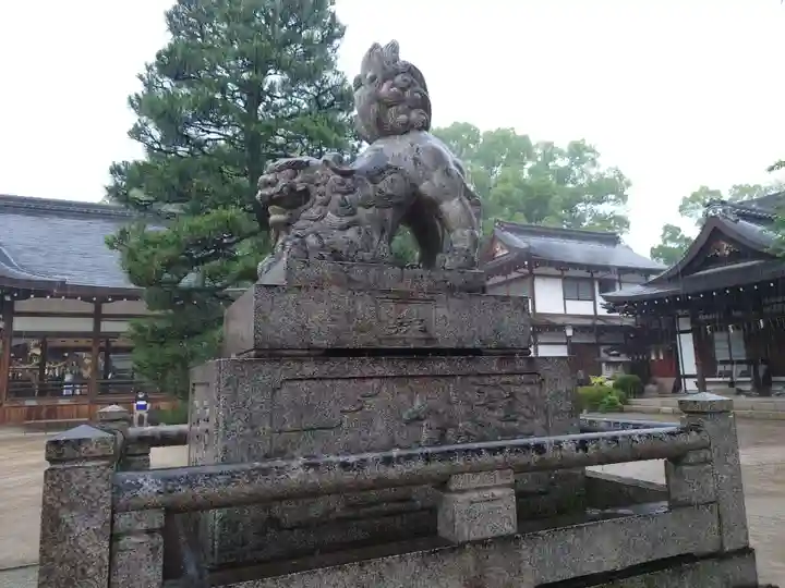 藤森神社の狛犬