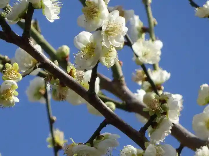 阿邪訶根神社の自然