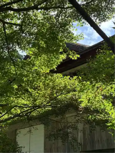 三千院門跡(京都府)