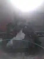 興隆寺(大分県)