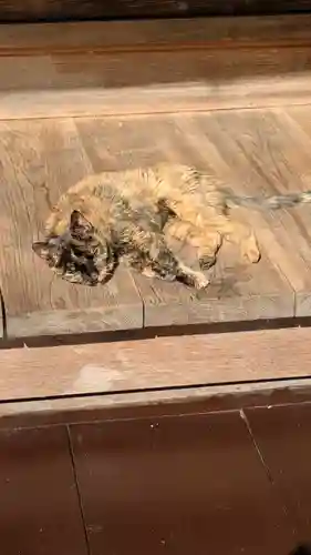 十輪寺(京都府)