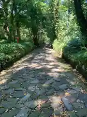 大神山神社奥宮(鳥取県)