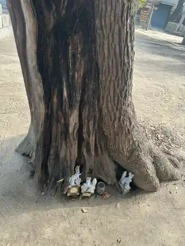 素盞烏尊神社(大阪府)