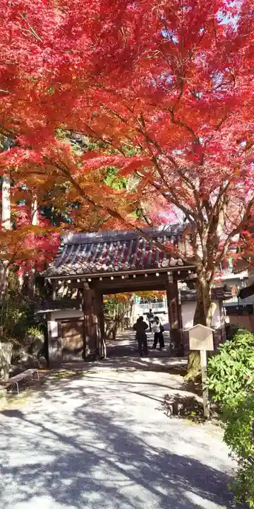 西教寺の山門・神門