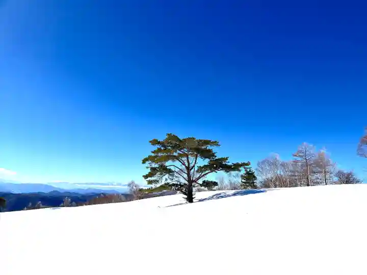 山家神社奥宮の景色