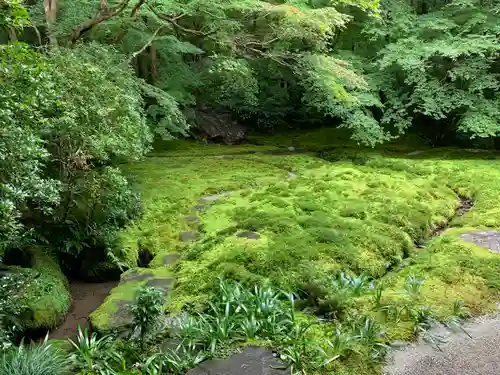 光明寺瑠璃光院の庭園