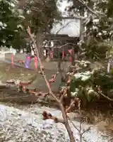 高司神社〜むすびの神の鎮まる社〜の自然