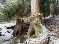 天一神社の{uncategorized: "未分類", other: "その他", undefined: "問題あり", building: "その他建物", grave: "お墓", sacred_gate: "鳥居", guardian: "狛犬", statue: "像", buddha: "仏像", history: "歴史", nature: "自然", garden: "庭園", animal: "動物", pagoda: "塔", temizu: "手水舎", mountain_gate: "山門・神門", sanctuary: "本殿・本堂", subordinate: "末社・摂社", art: "芸術", scenery: "景色", jizo: "地蔵", ema: "絵馬", goshuin: "御朱印", omikuji: "おみくじ", items: "授与品その他", amulet: "お守り", goshuincho: "御朱印帳", eats: "食事", festival: "お祭り", votive_dance: "神楽", shichigosan: "七五三参", wedding: "結婚式", experience: "体験その他", initially: "初詣", around: "周辺", anti_infection: "感染症対策"}