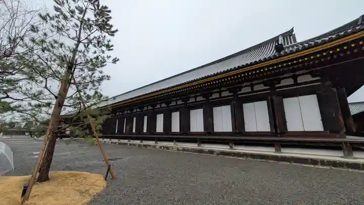 蓮華王院(三十三間堂)(京都府)