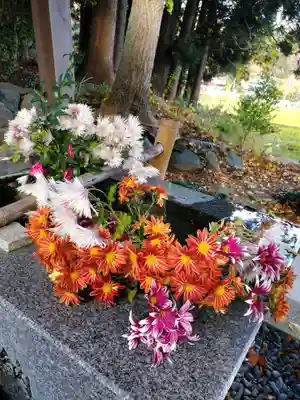 高司神社〜むすびの神の鎮まる社〜(福島県)