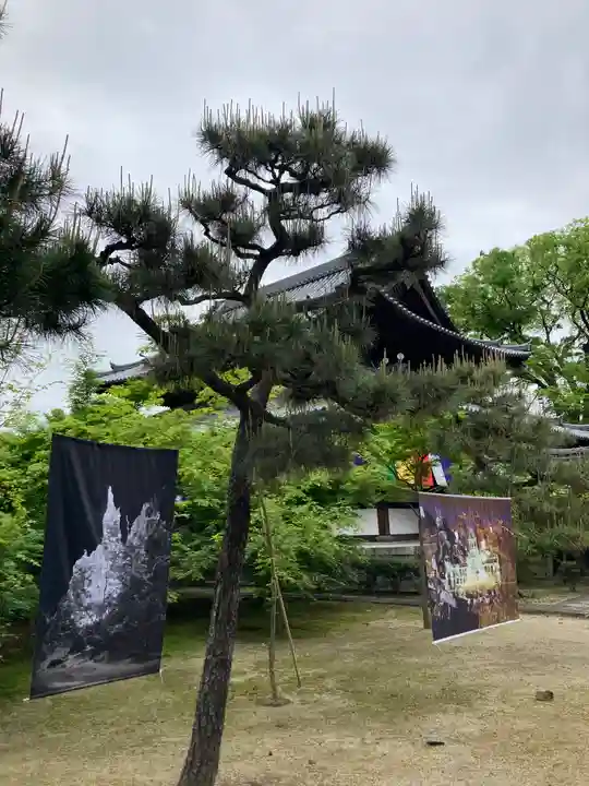 興聖寺(京都府)
