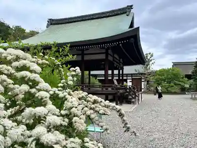 梅宮大社(京都府)