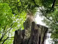 天神社(奈良県)