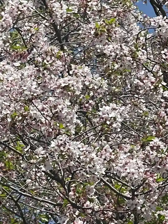 上小倉神社(和歌山県)
