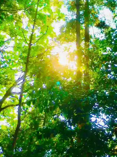 香取神宮の自然