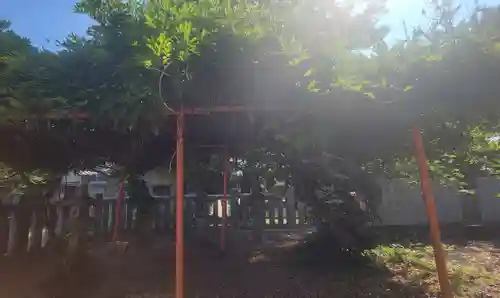 五色濱神社(愛媛県)